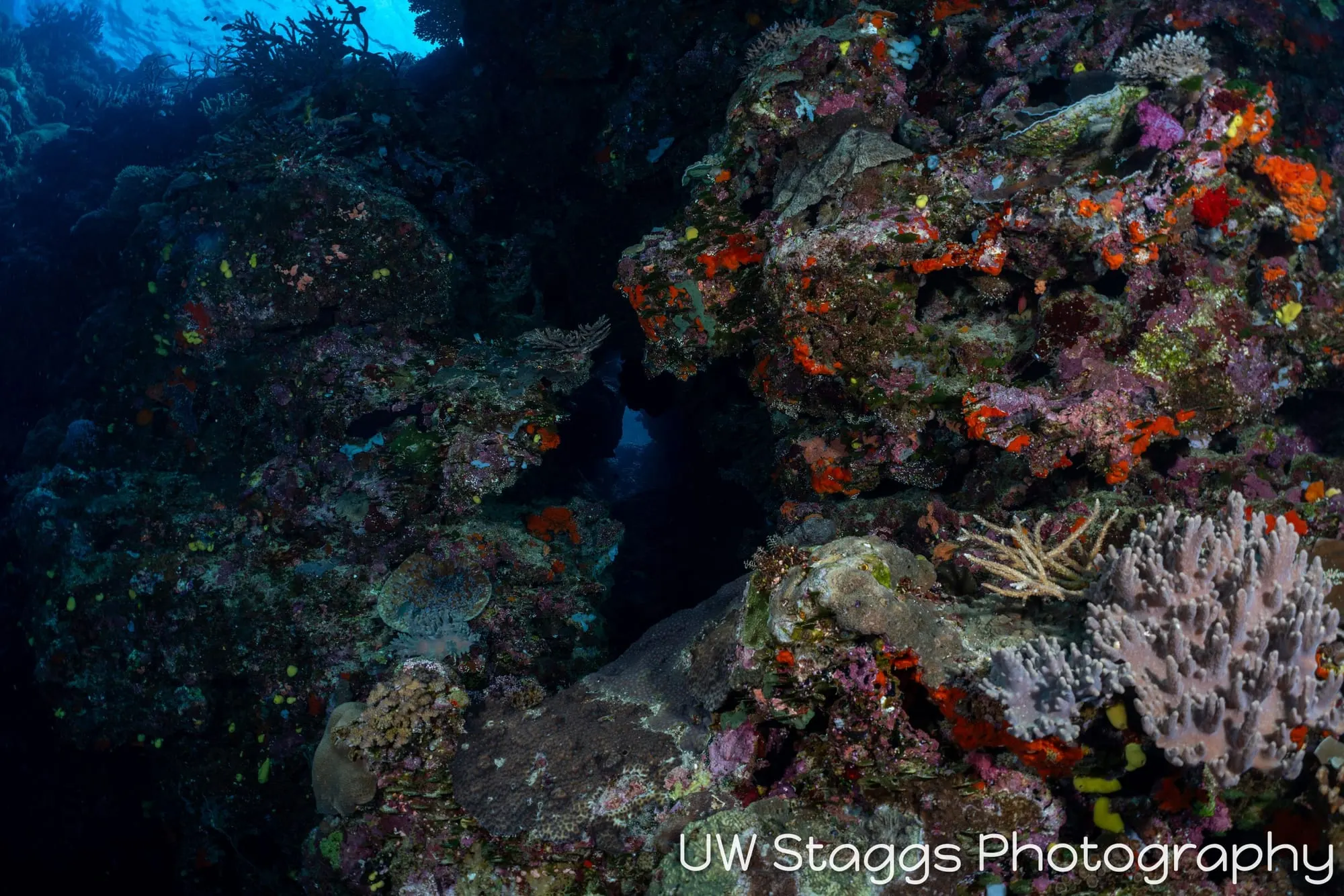 Coral Atoll — Bligh Waters, Fiji