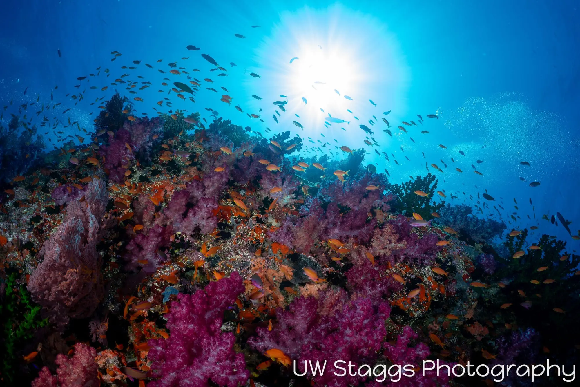 Coral Atoll — Bligh Waters, Fiji