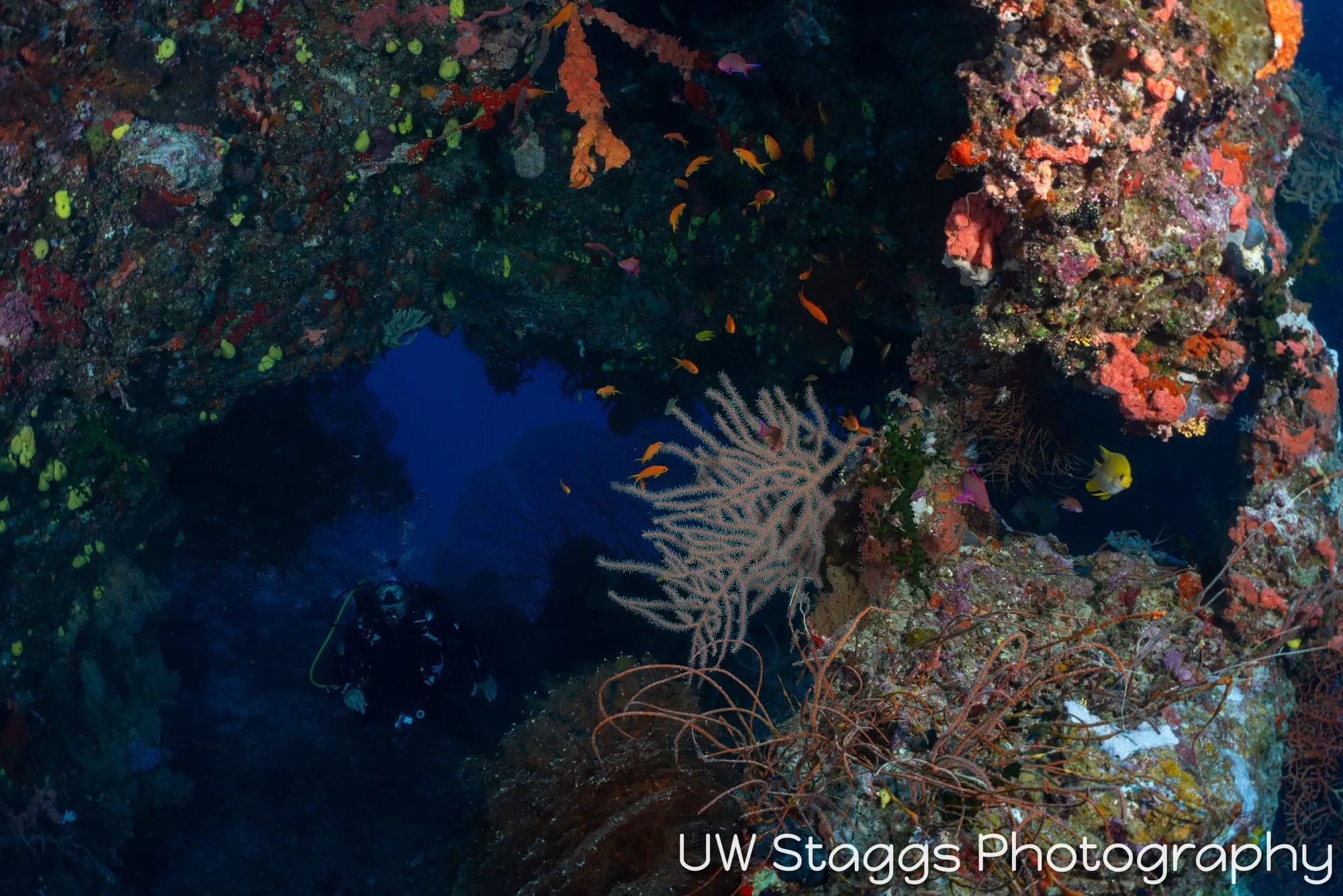 Coral Atoll — Bligh Waters, Fiji