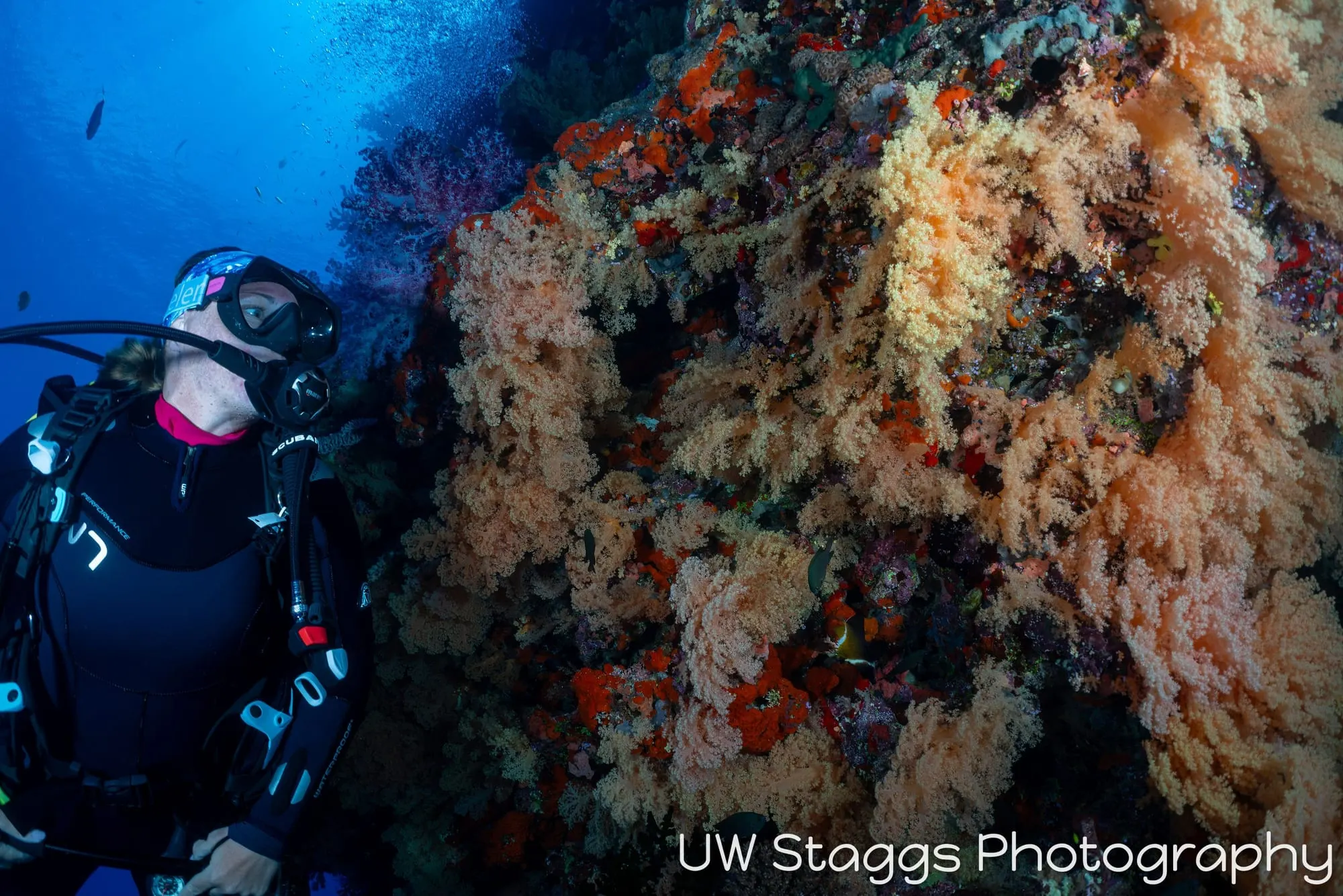 Coral Atoll — Bligh Waters, Fiji