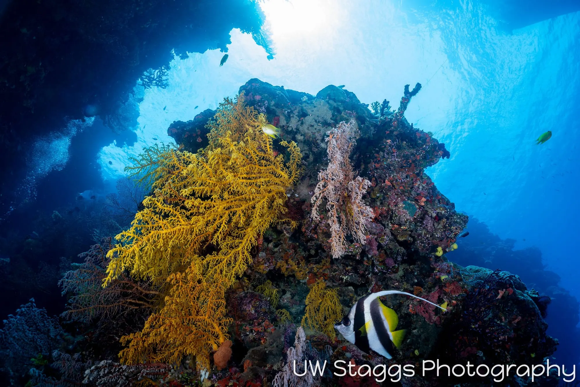 Coral Atoll — Bligh Waters, Fiji