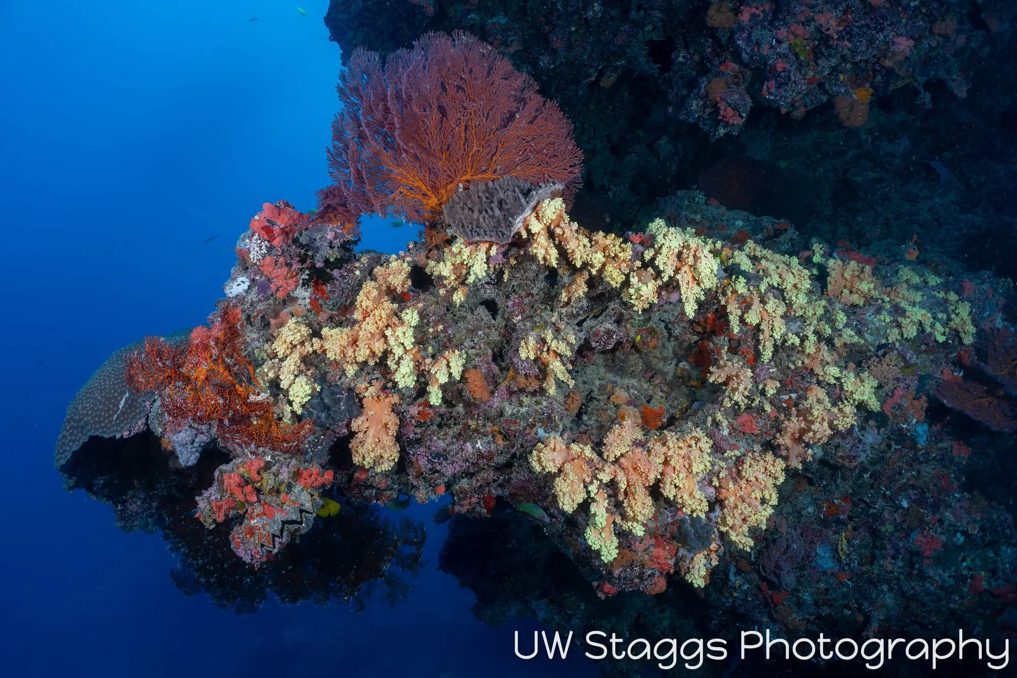 Coral Atoll — Bligh Waters, Fiji