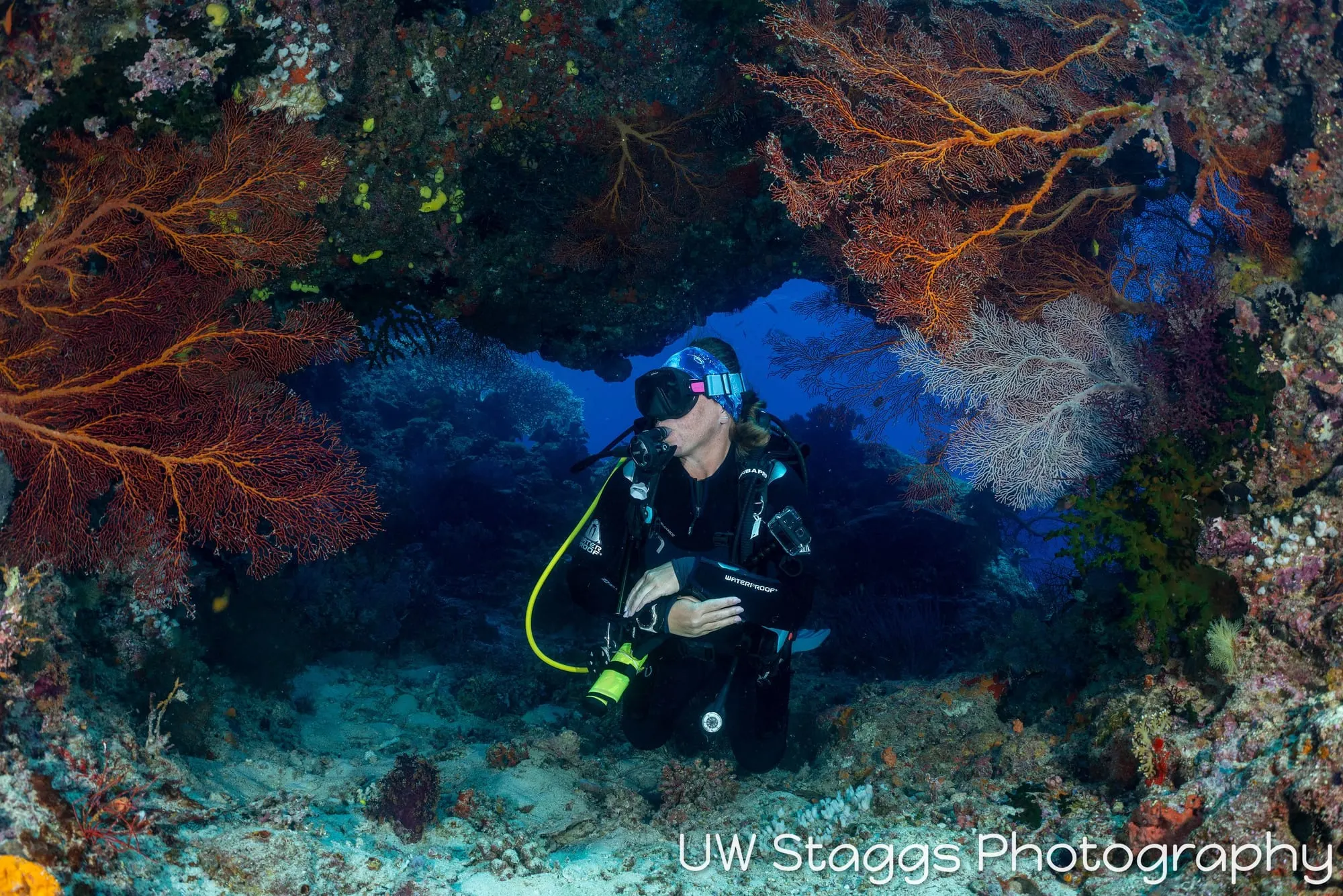 Coral Atoll — Bligh Waters, Fiji