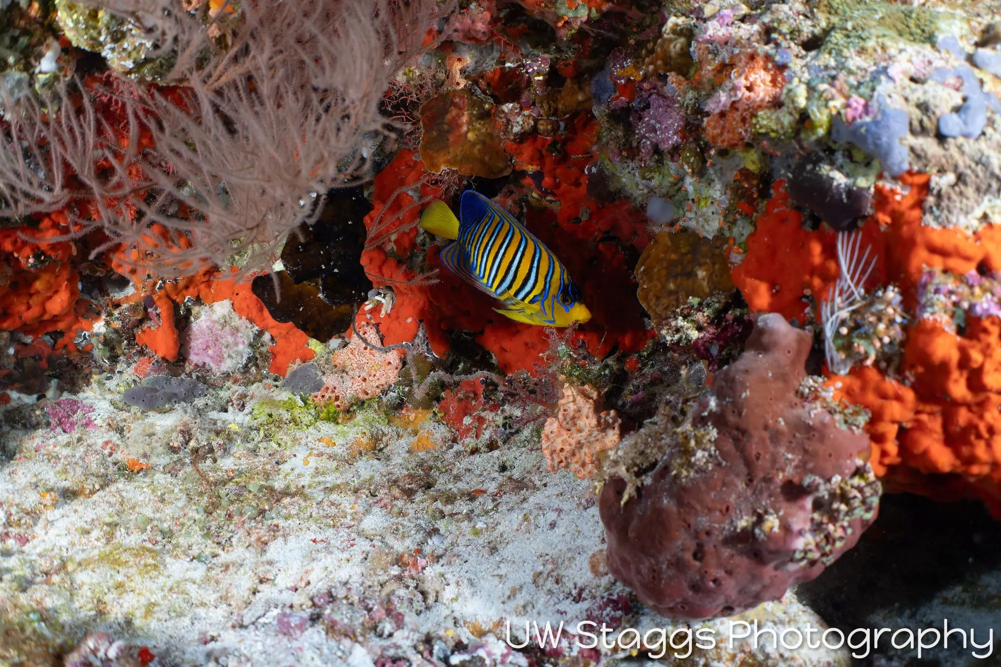 Coral Atoll — Central Atolls, Maldives