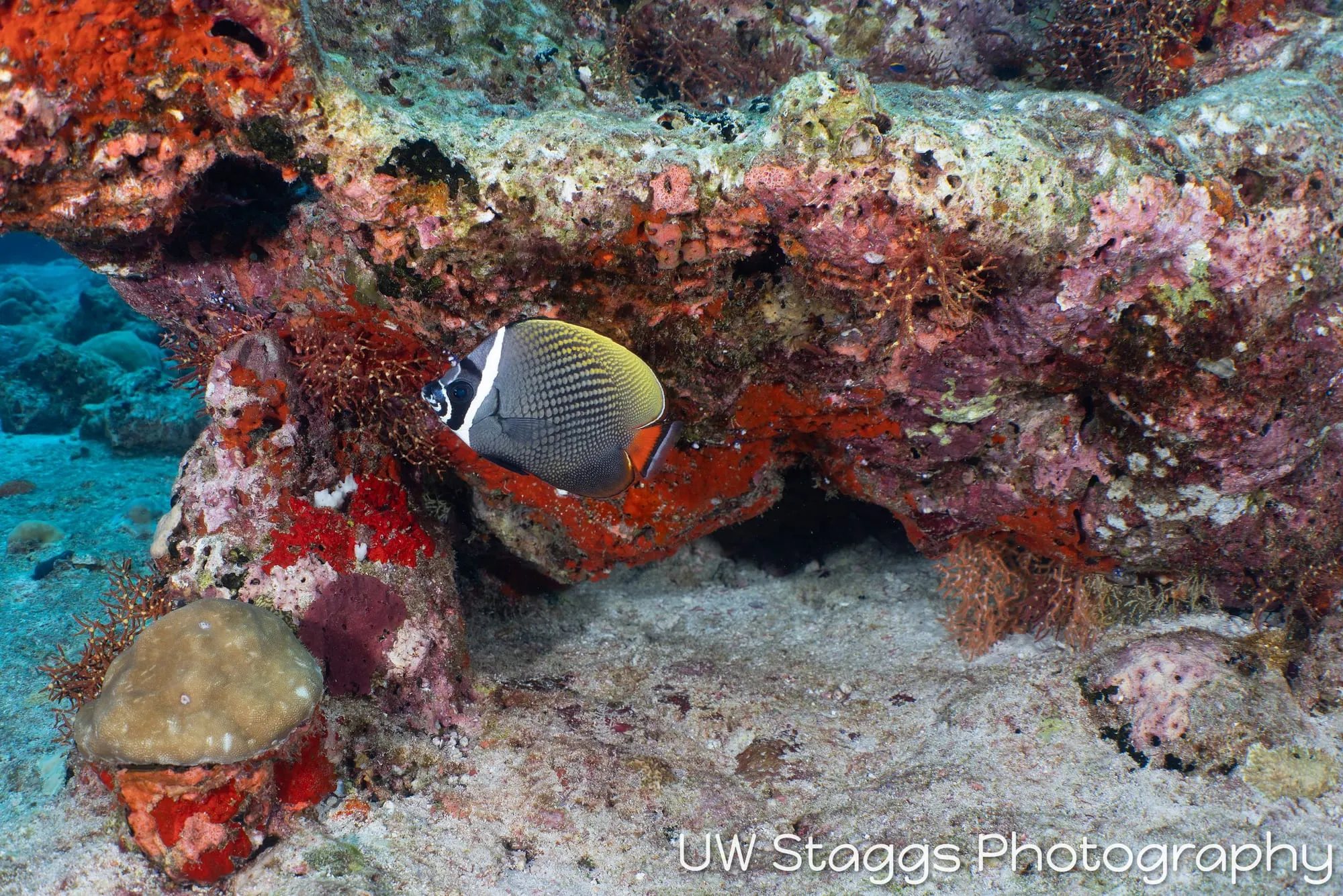 Coral Atoll — Central Atolls, Maldives