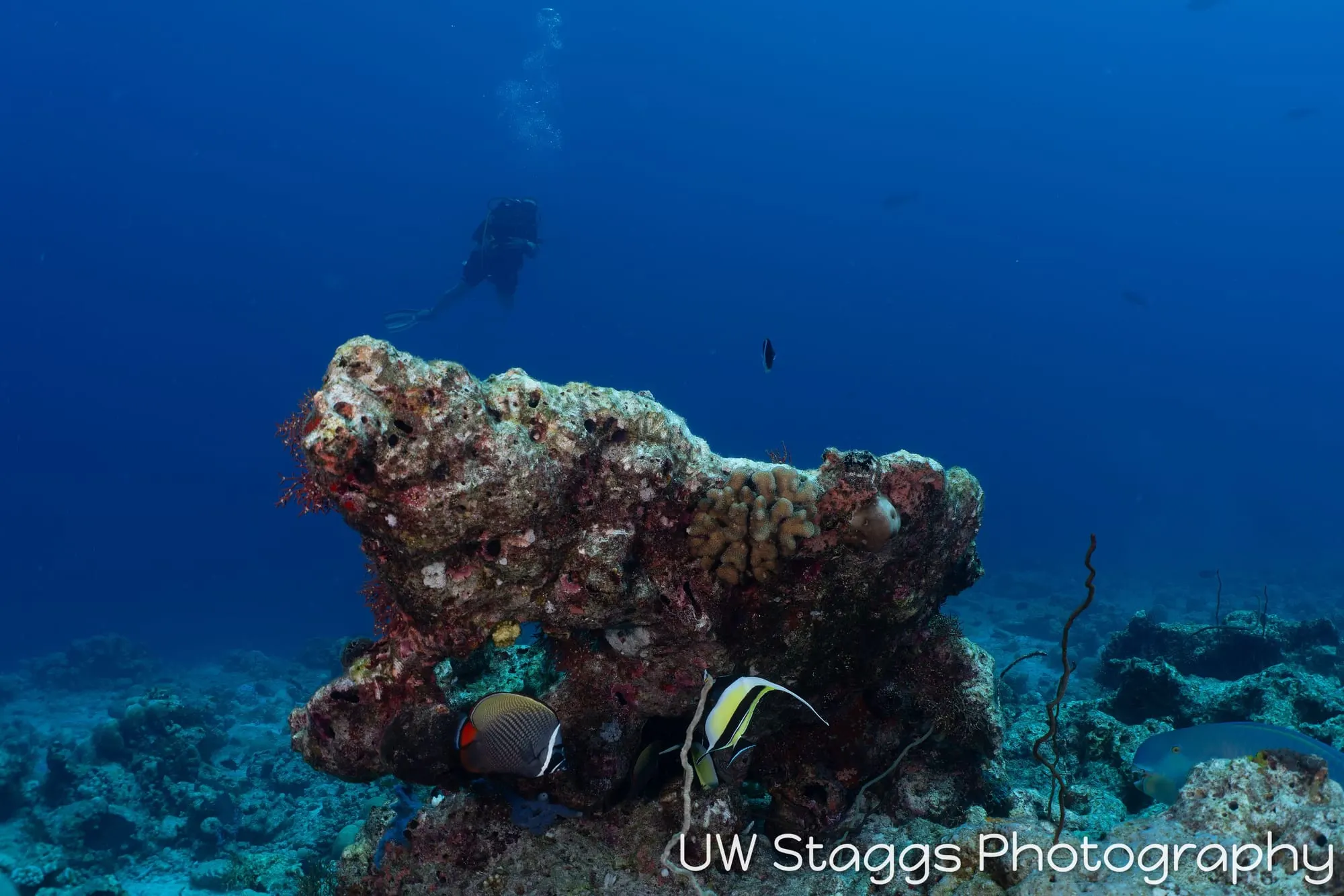Coral Atoll — Central Atolls, Maldives