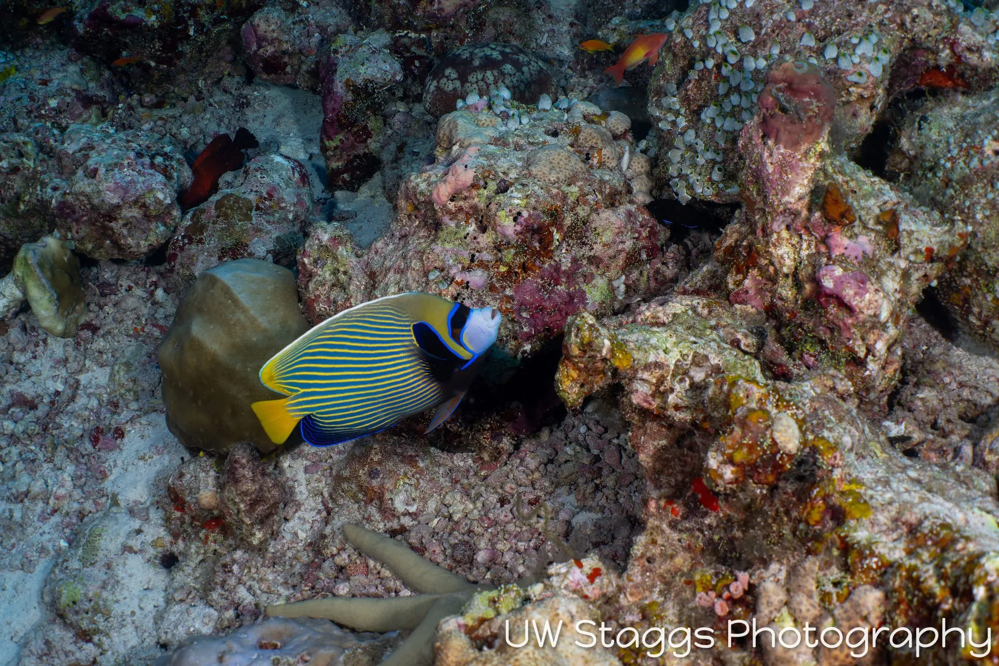 Coral Atoll — Central Atolls, Maldives