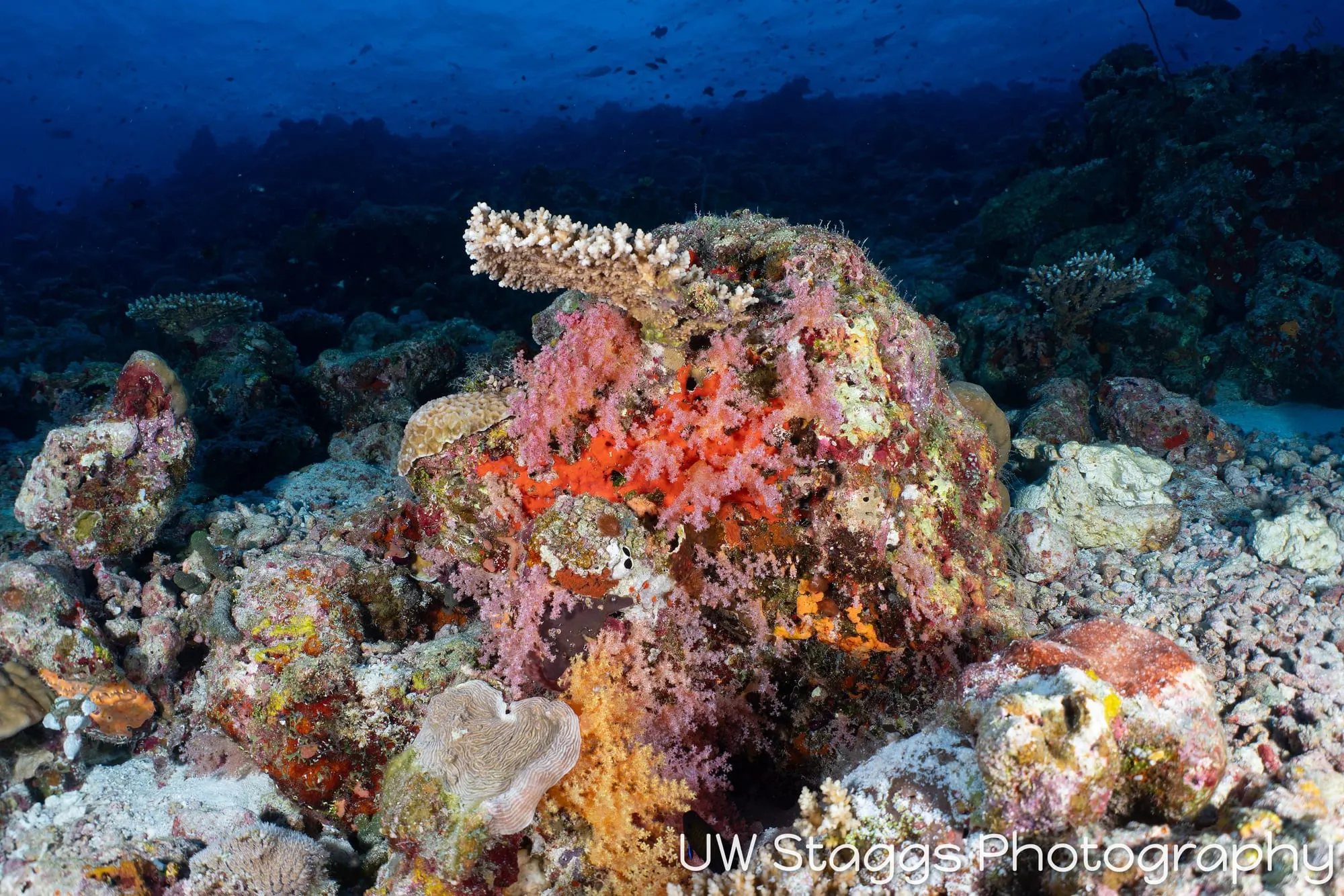 Coral Atoll — Central Atolls, Maldives