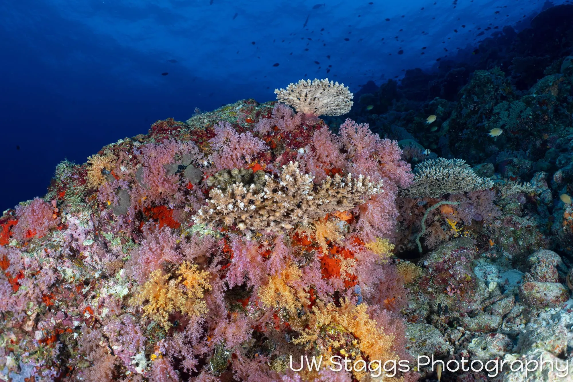 Coral Atoll — Central Atolls, Maldives