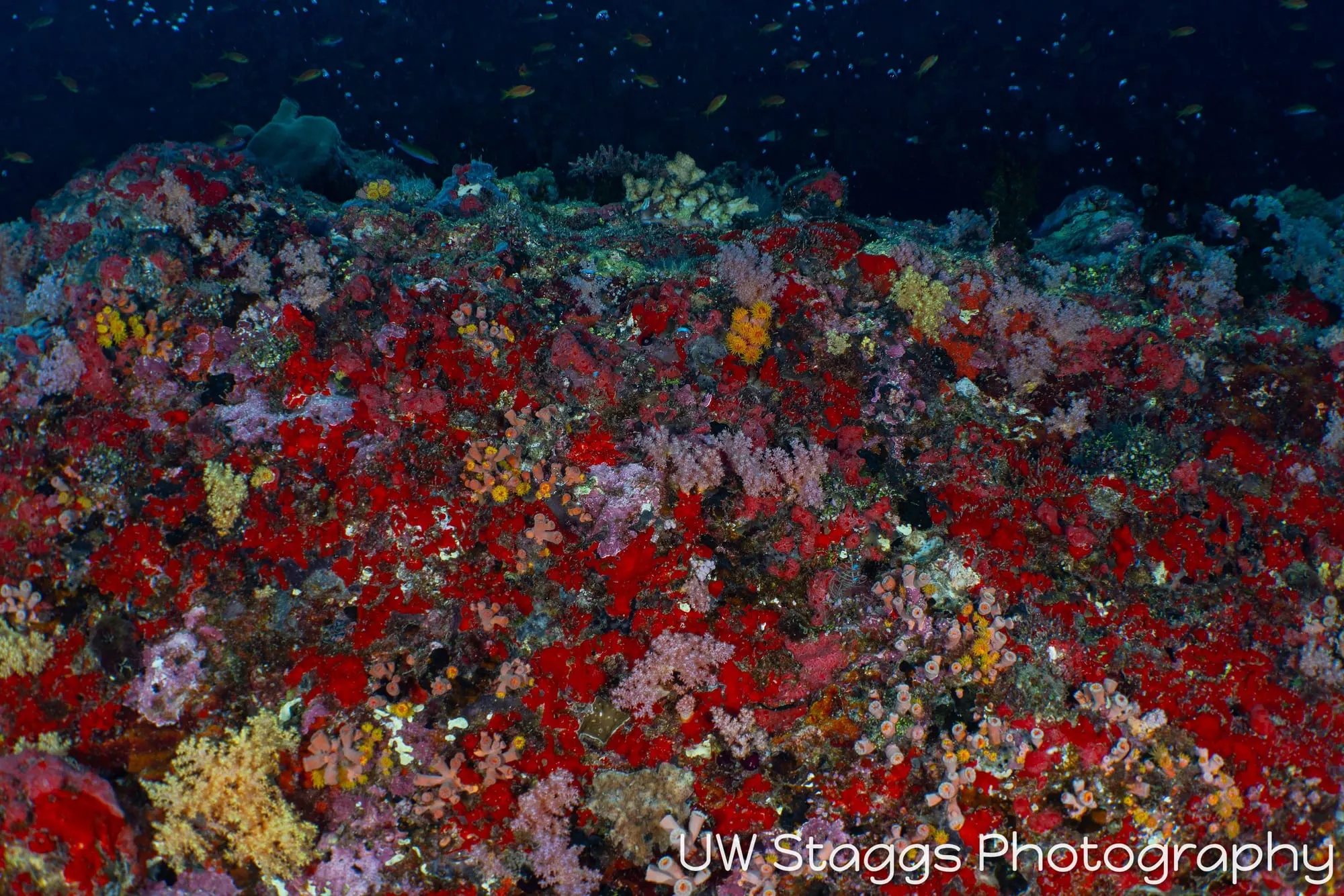 Coral Atoll — Central Atolls, Maldives
