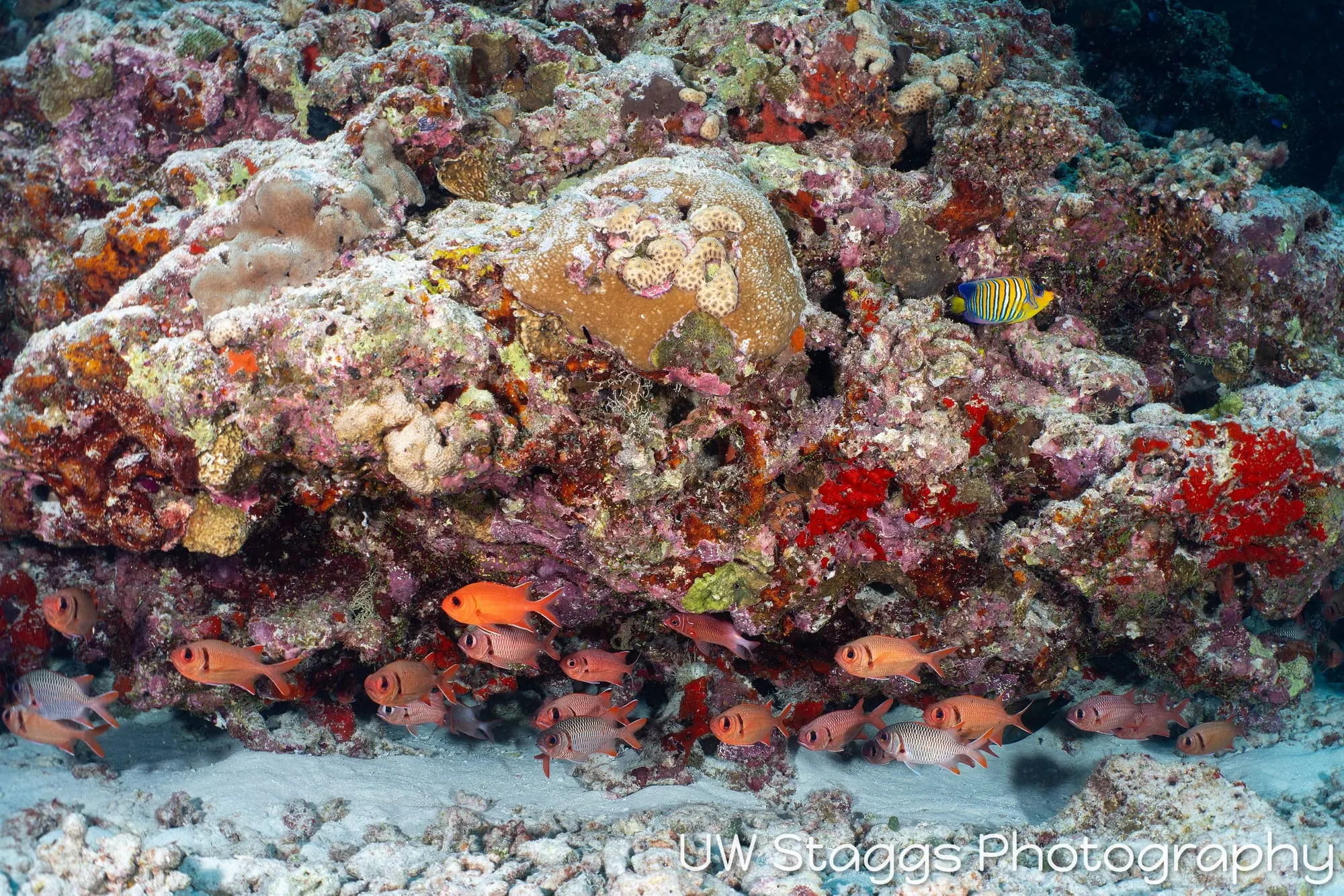 Coral Atoll — Central Atolls, Maldives