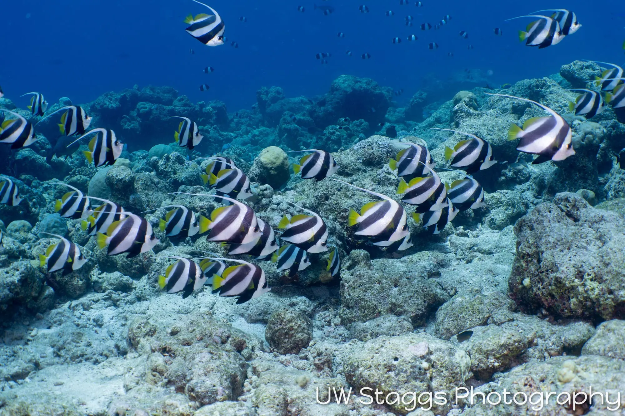 Coral Atoll — Central Atolls, Maldives