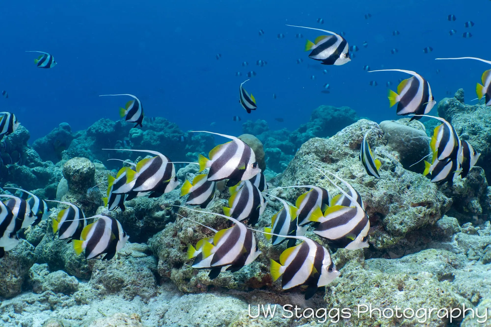 Coral Atoll — Central Atolls, Maldives