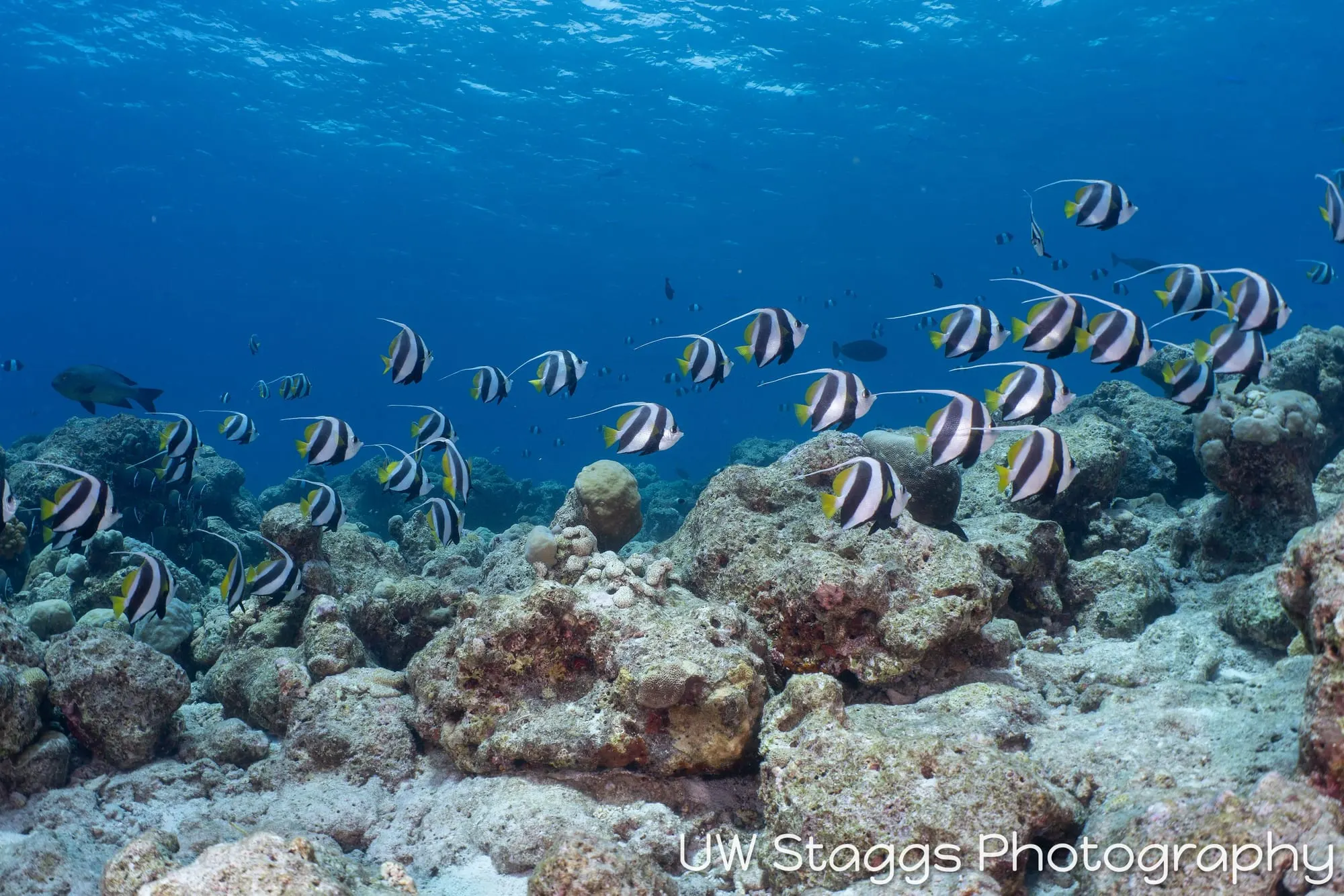 Coral Atoll — Central Atolls, Maldives