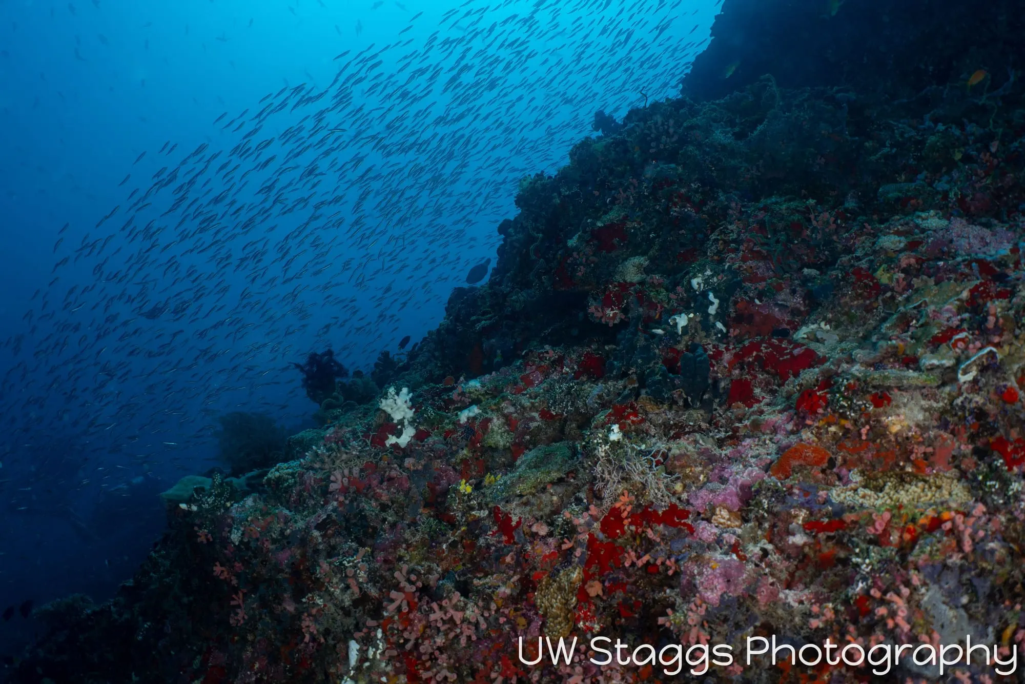 Coral Atoll — Central Atolls, Maldives