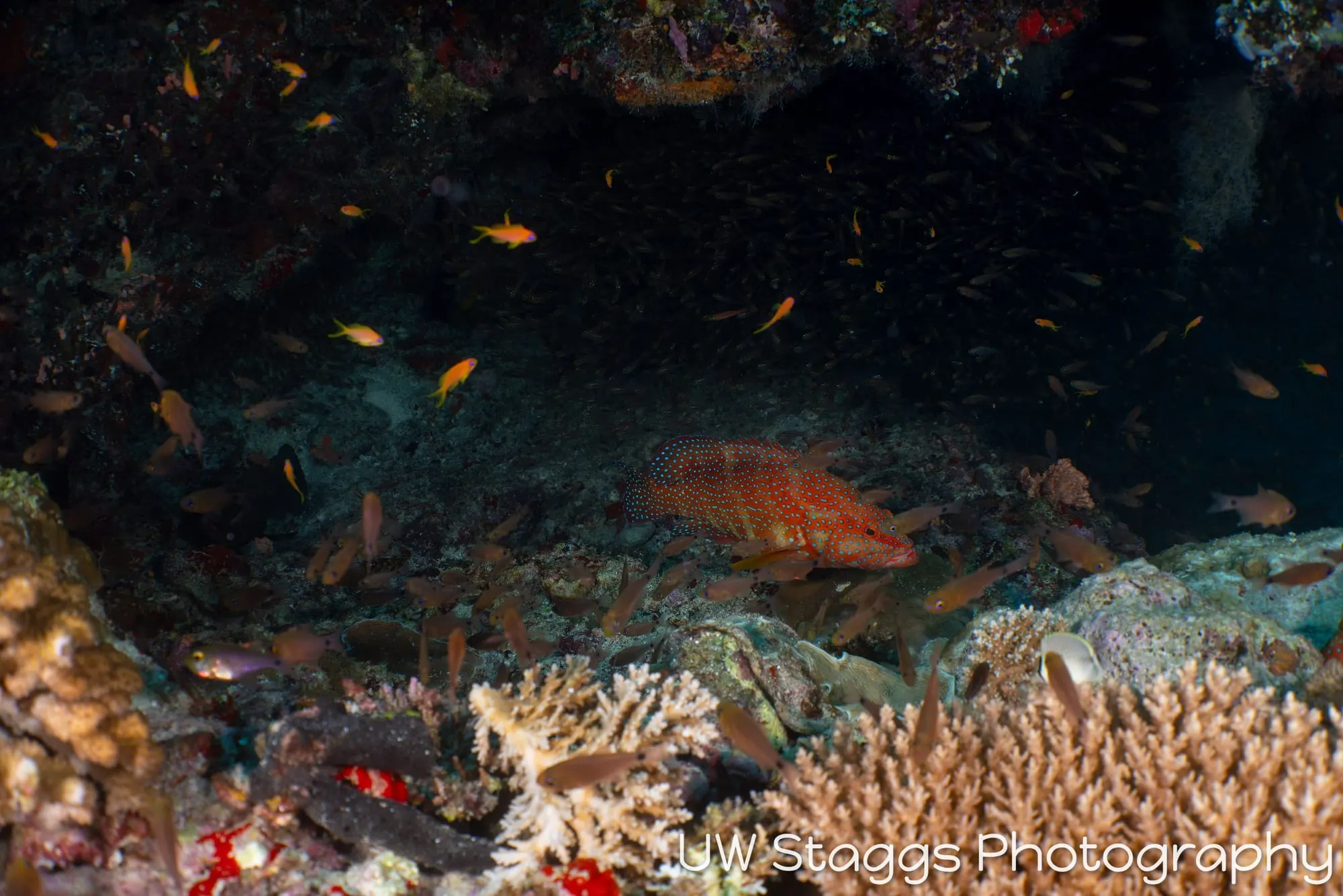 Coral Atoll — Central Atolls, Maldives