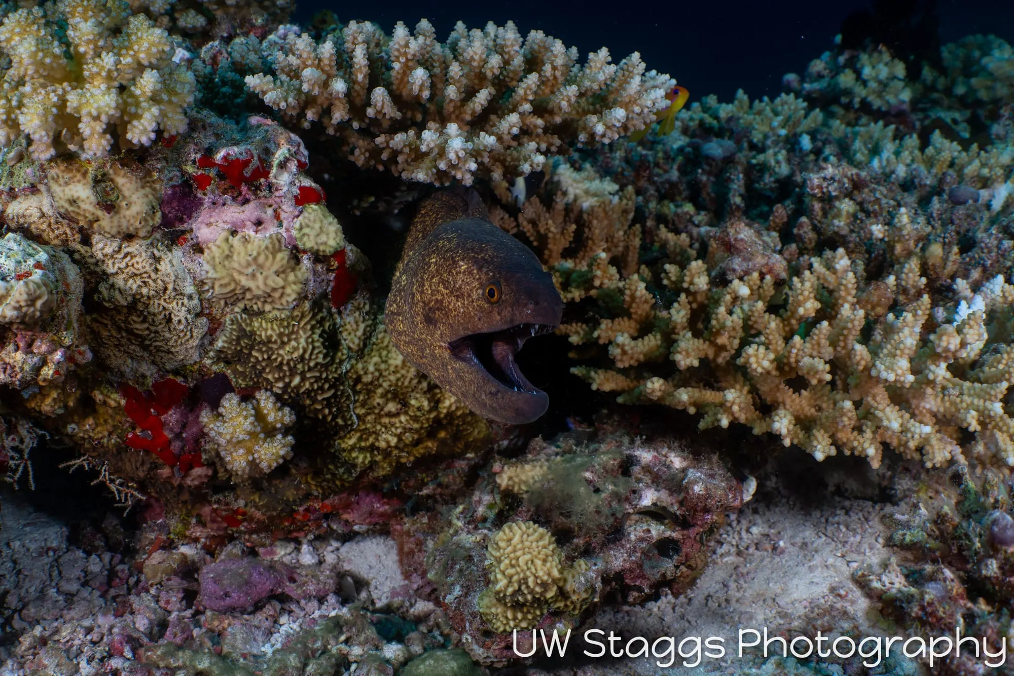 Coral Atoll — Central Atolls, Maldives