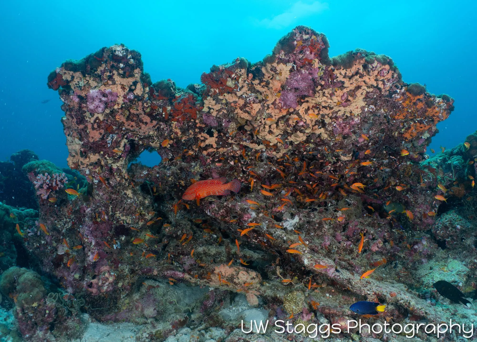 Coral Atoll — Central Atolls, Maldives