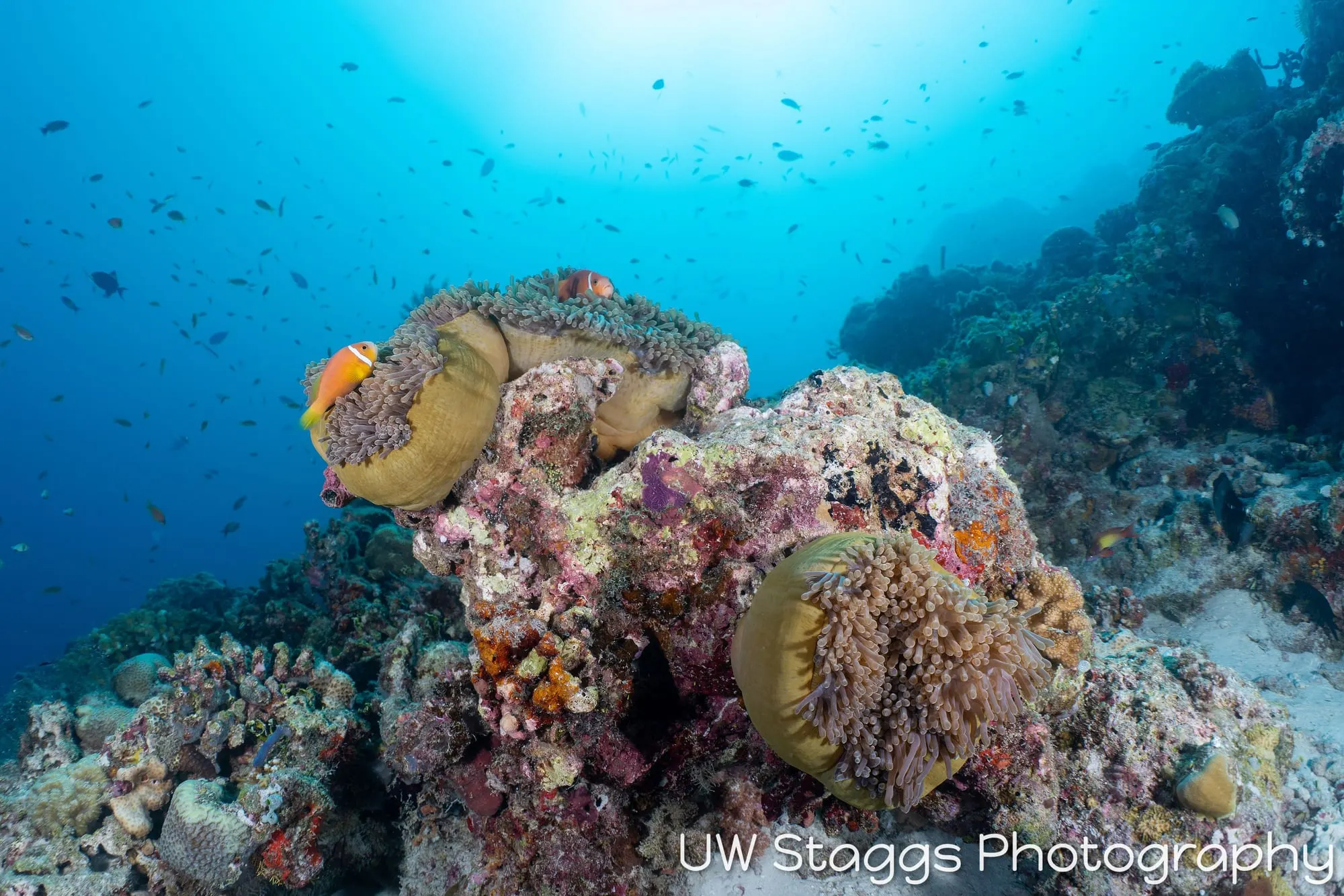 Coral Atoll — Central Atolls, Maldives