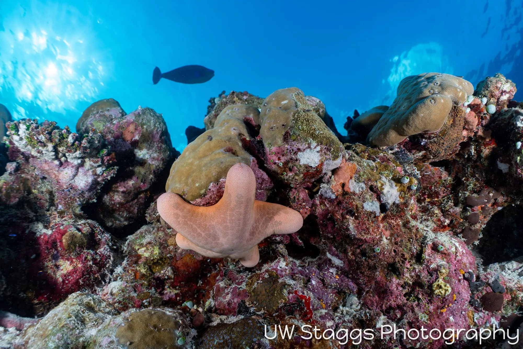 Coral Atoll — Central Atolls, Maldives