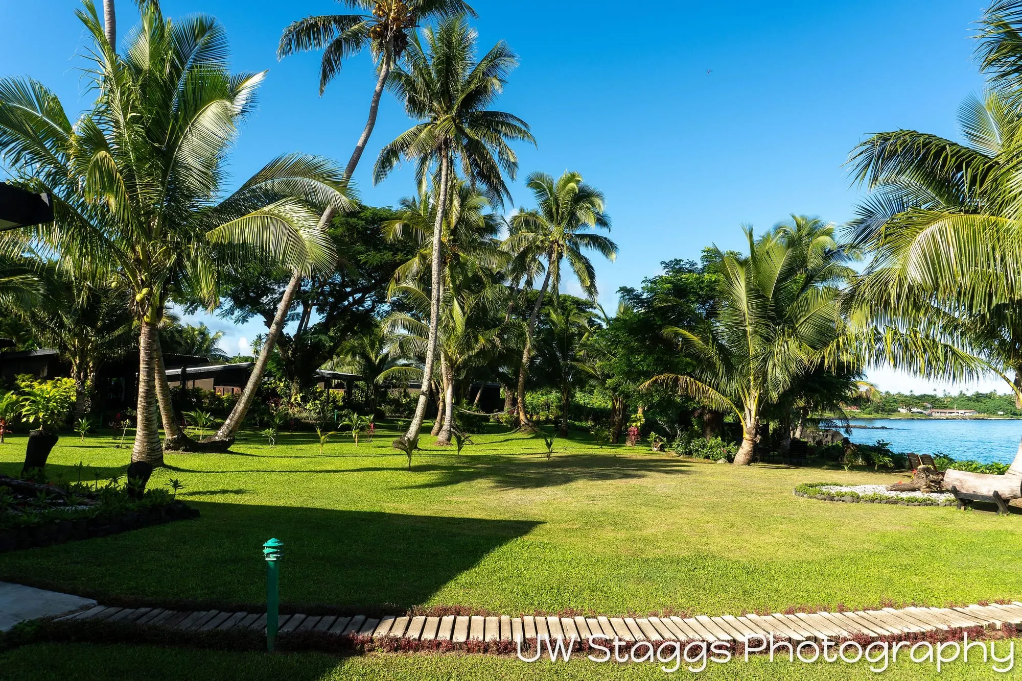 Reef Scene — Taveuni, Fiji