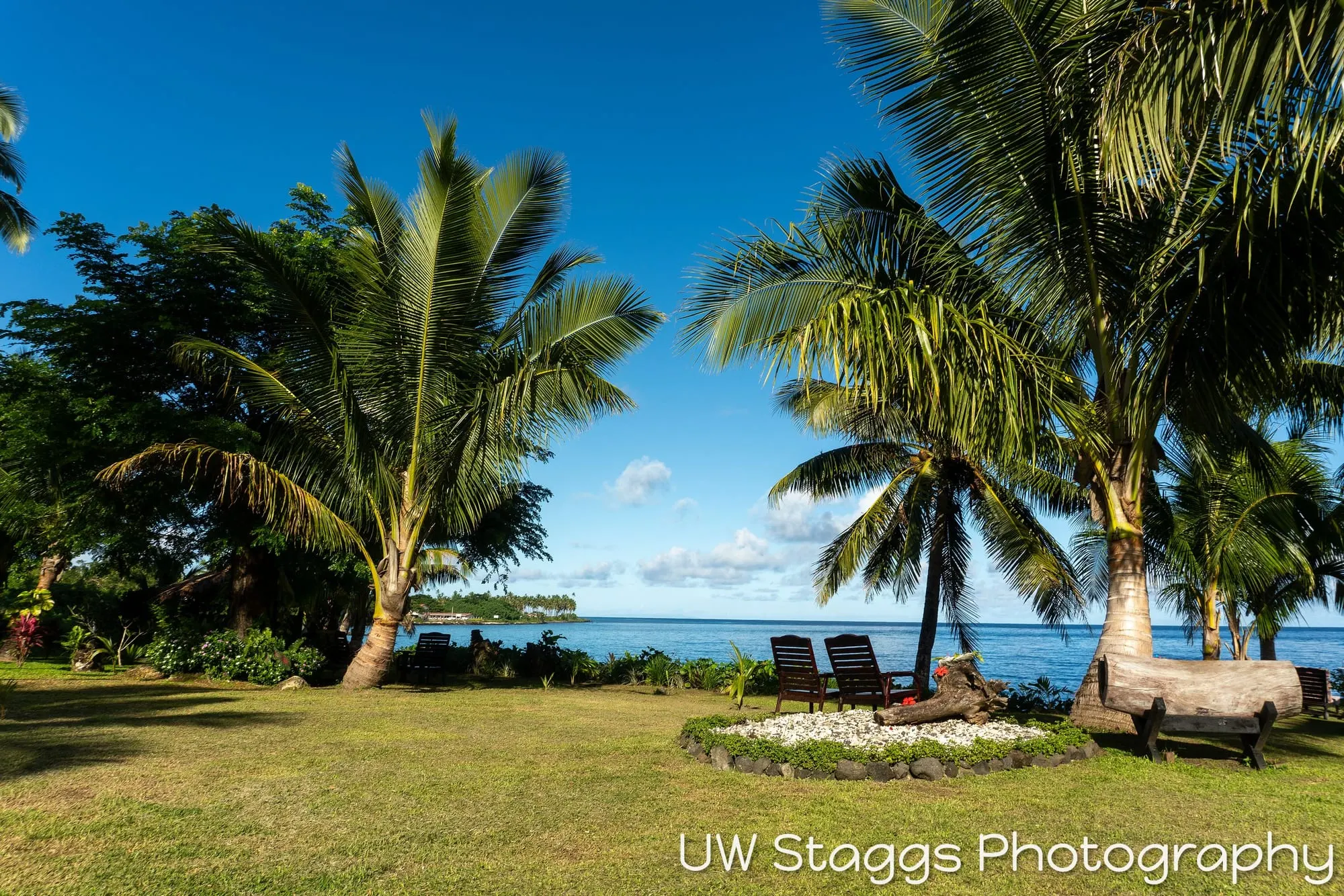 Reef Scene — Taveuni, Fiji