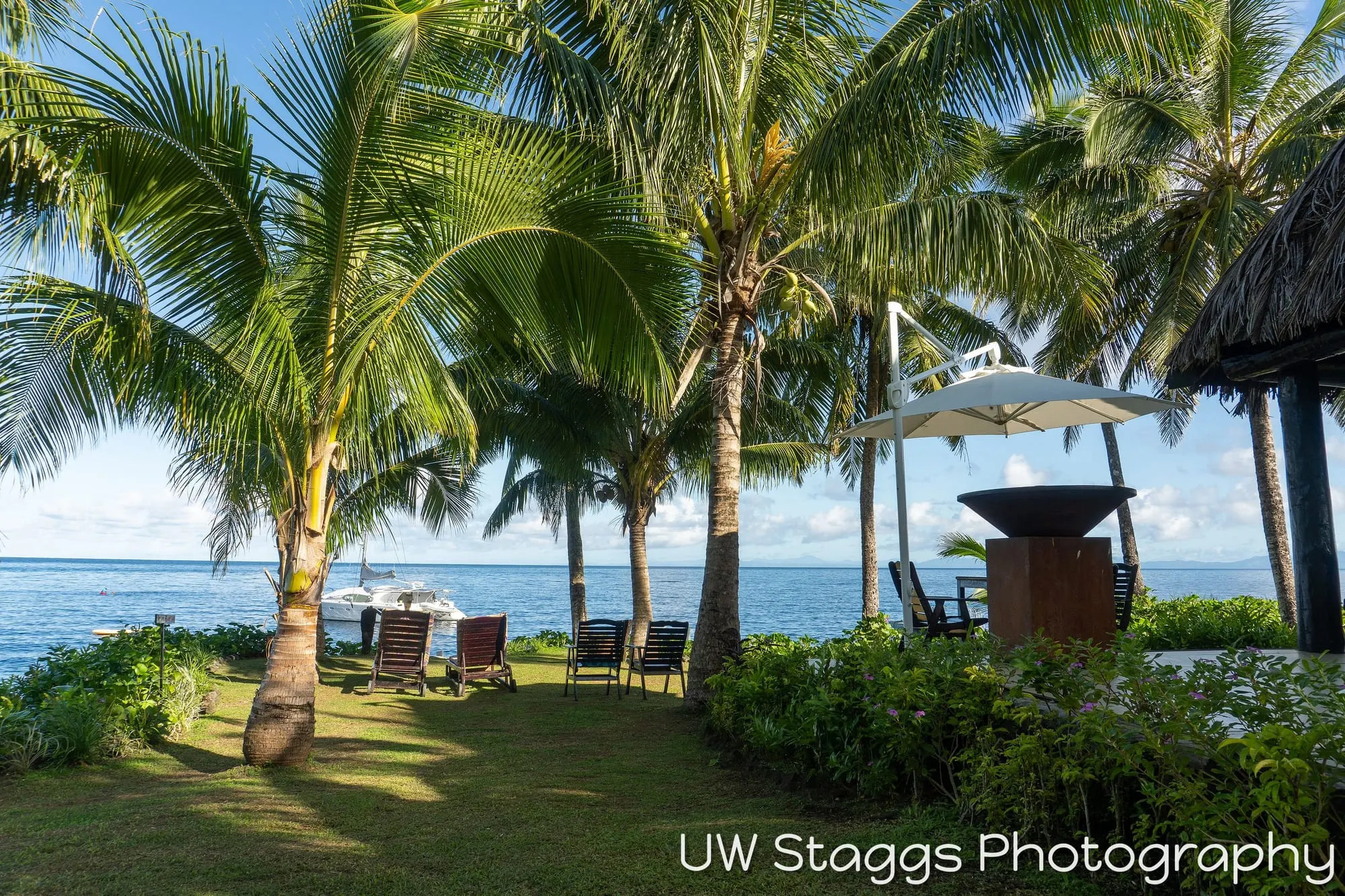 Reef Scene — Taveuni, Fiji