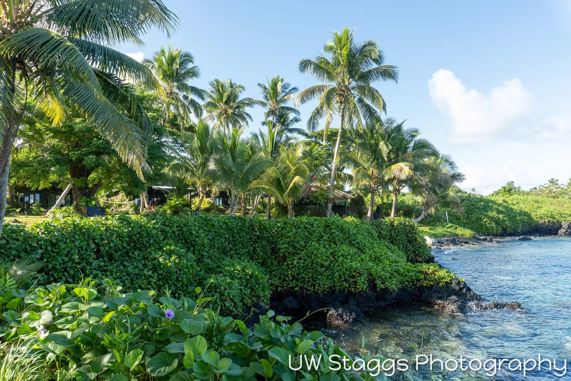 Reef Scene — Taveuni, Fiji