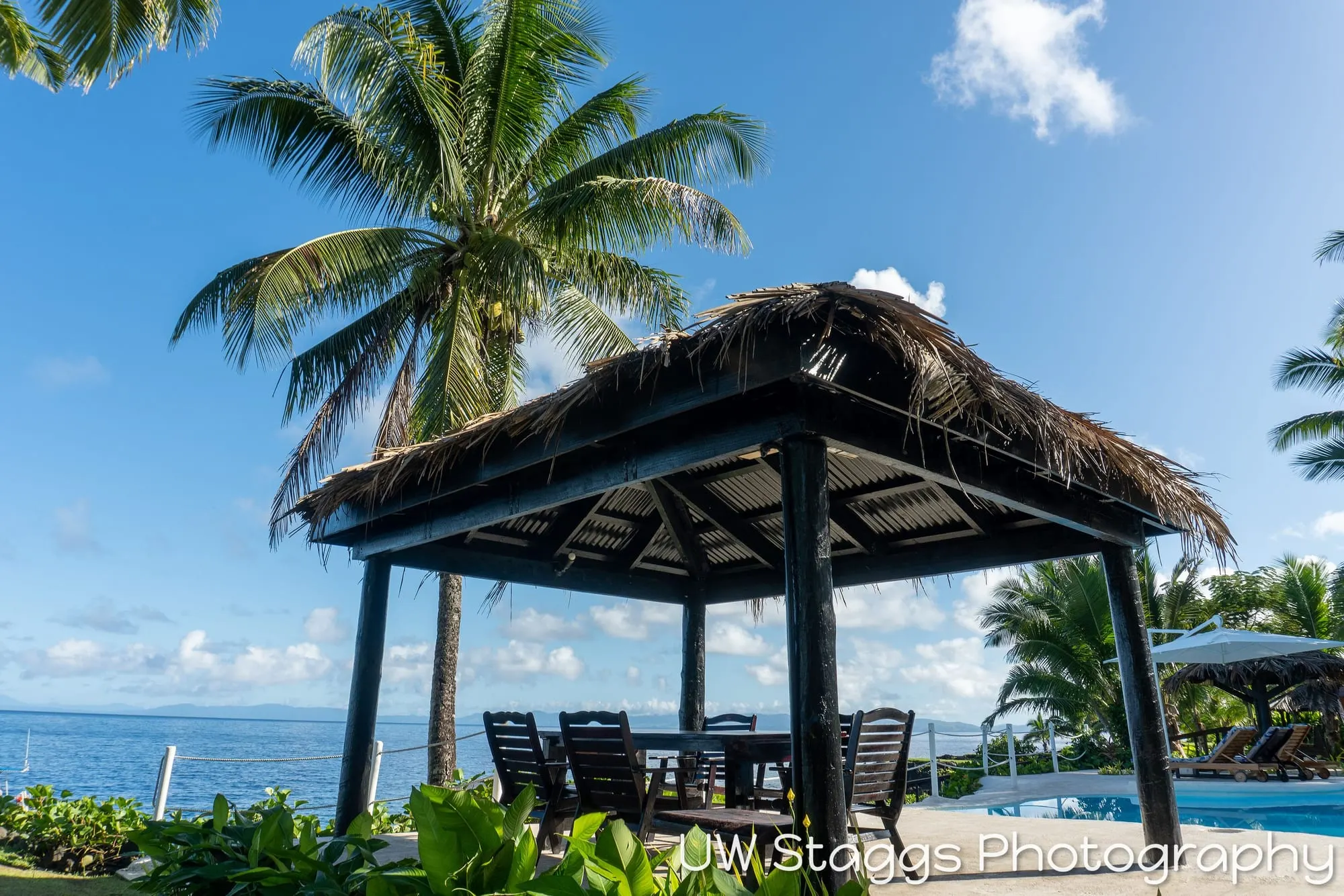 Reef Scene — Taveuni, Fiji