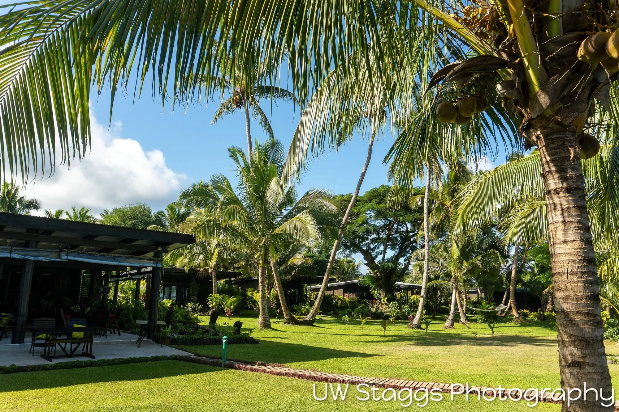 Reef Scene — Taveuni, Fiji