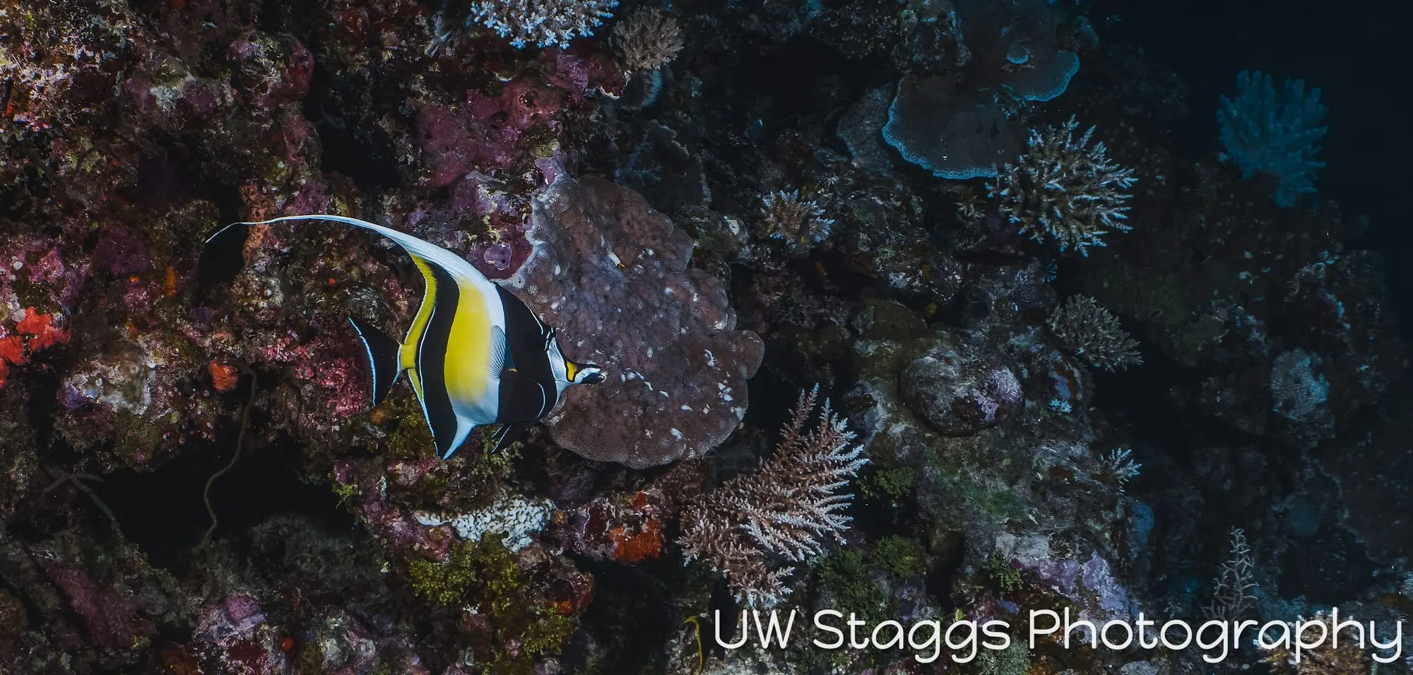 Coral Atoll — Taveuni, Fiji