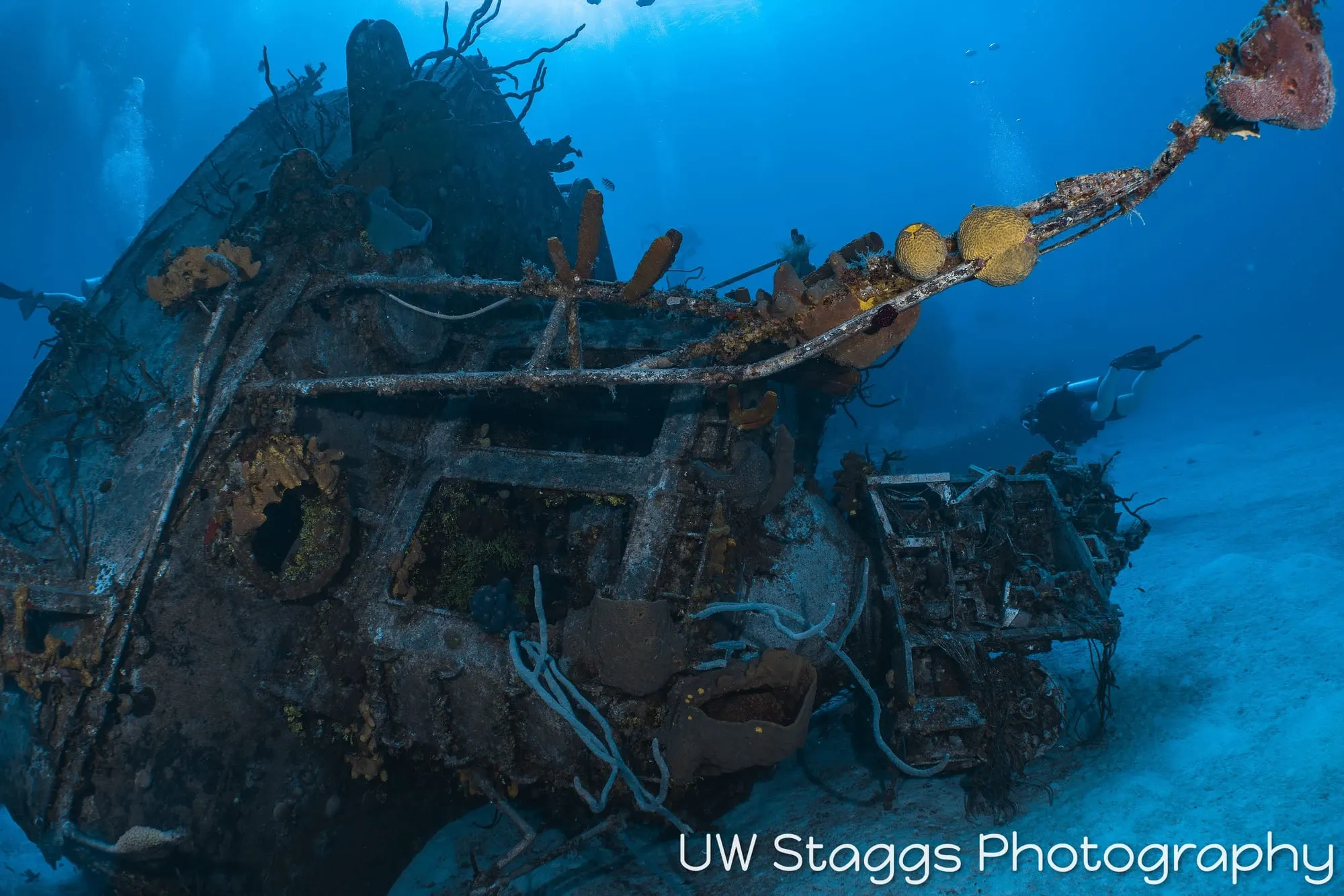Reef Scene — Little Cayman