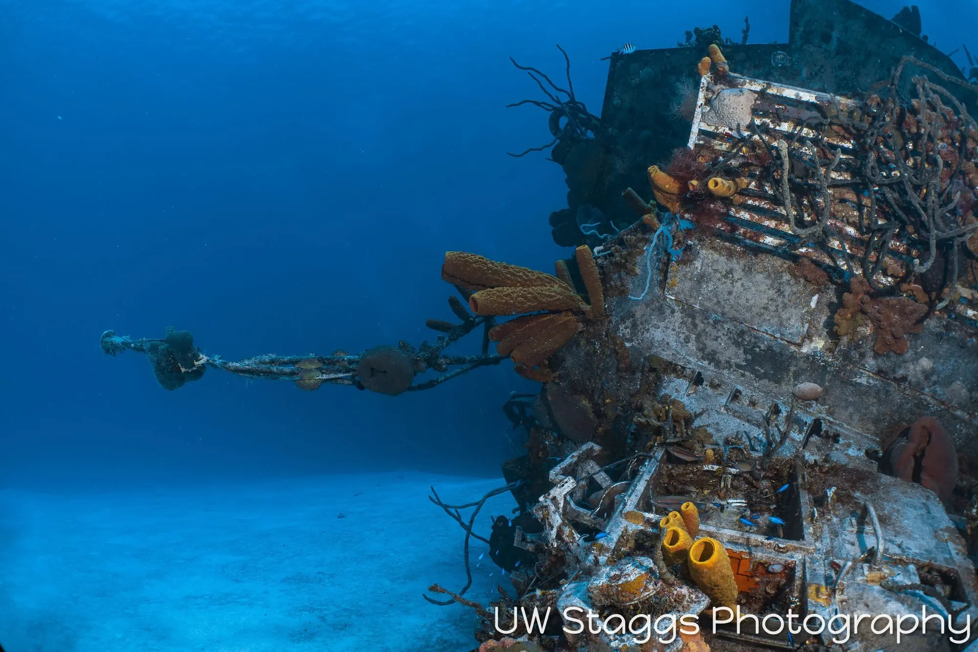 Reef Scene — Little Cayman