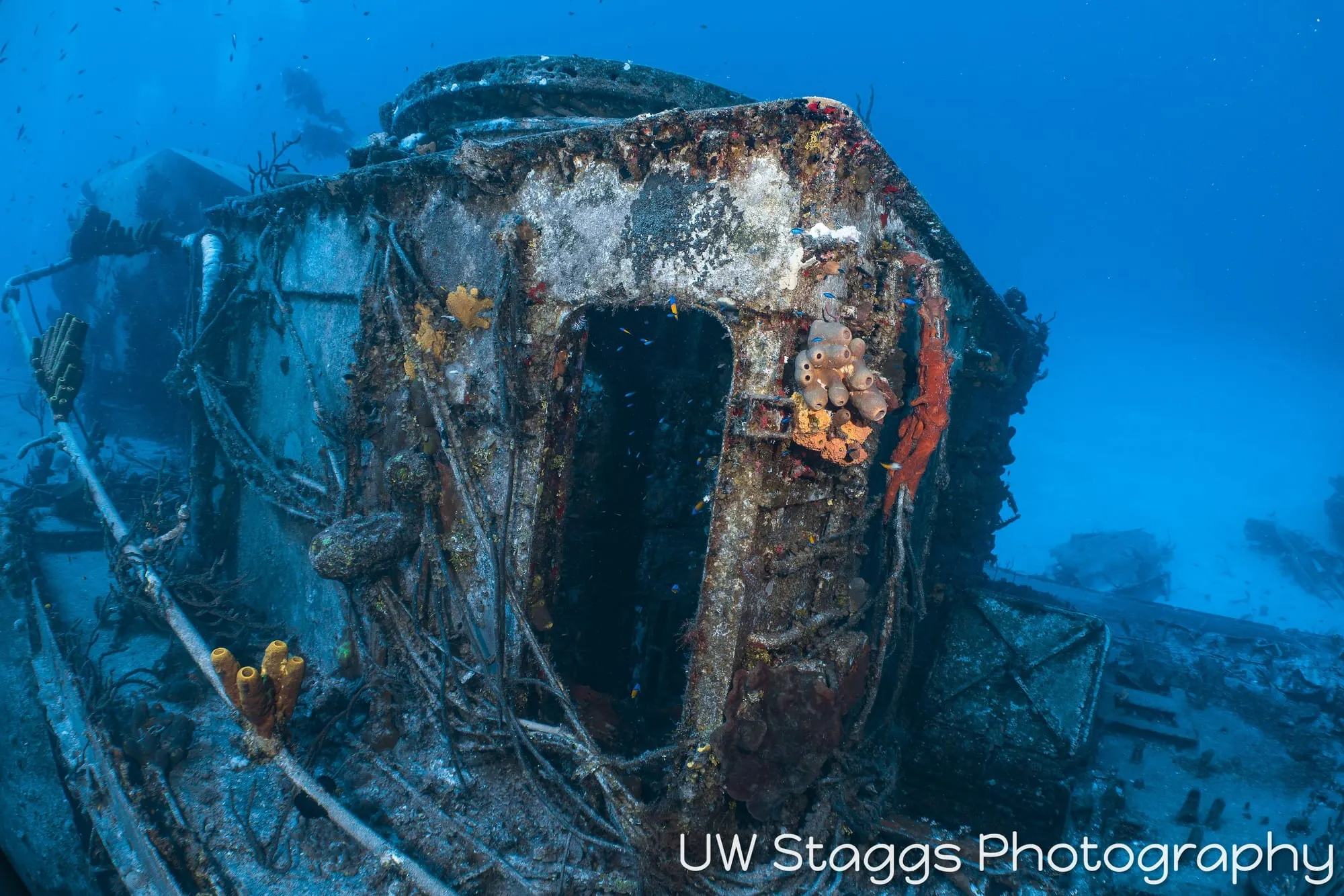 Reef Scene — Little Cayman