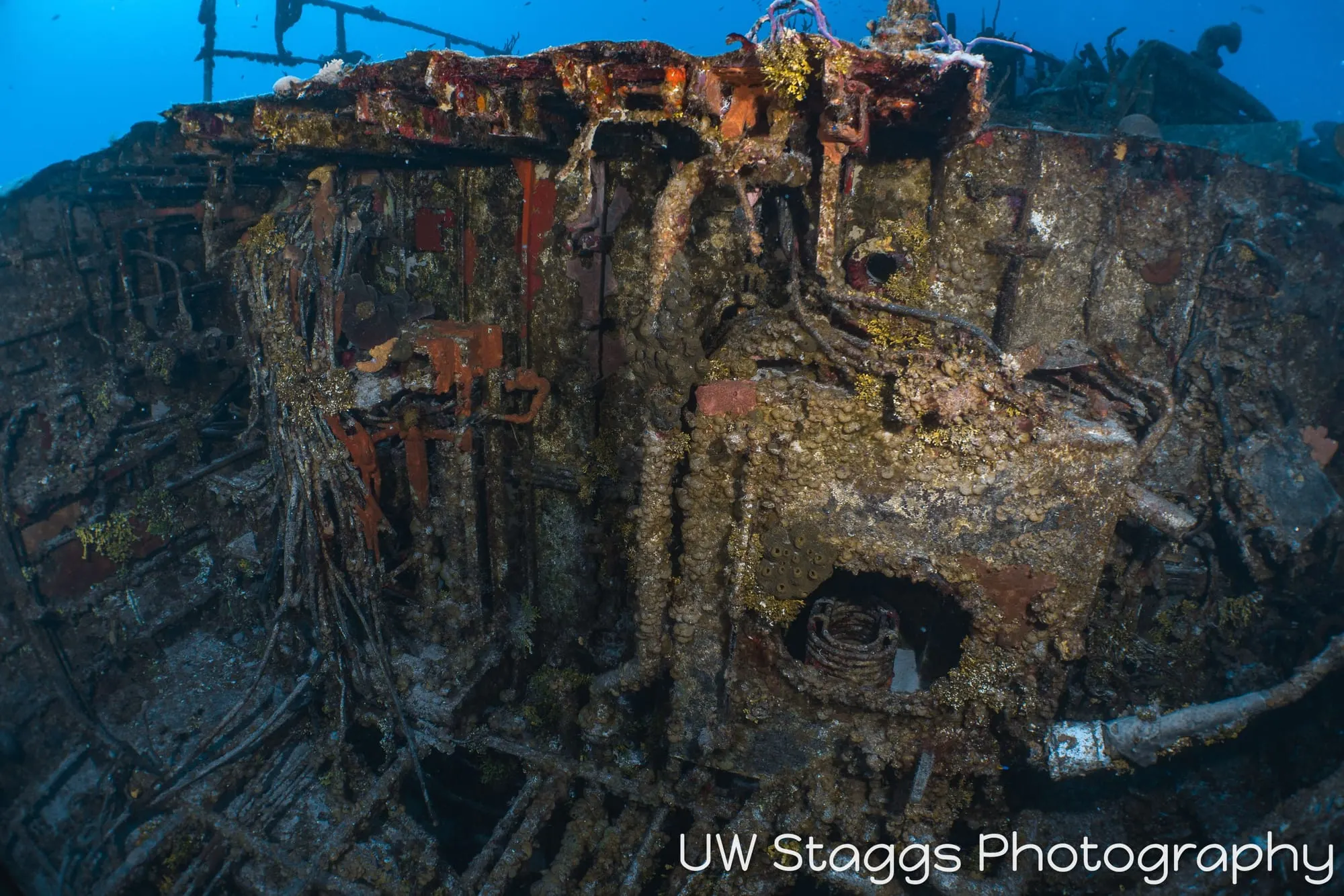 Reef Scene — Little Cayman