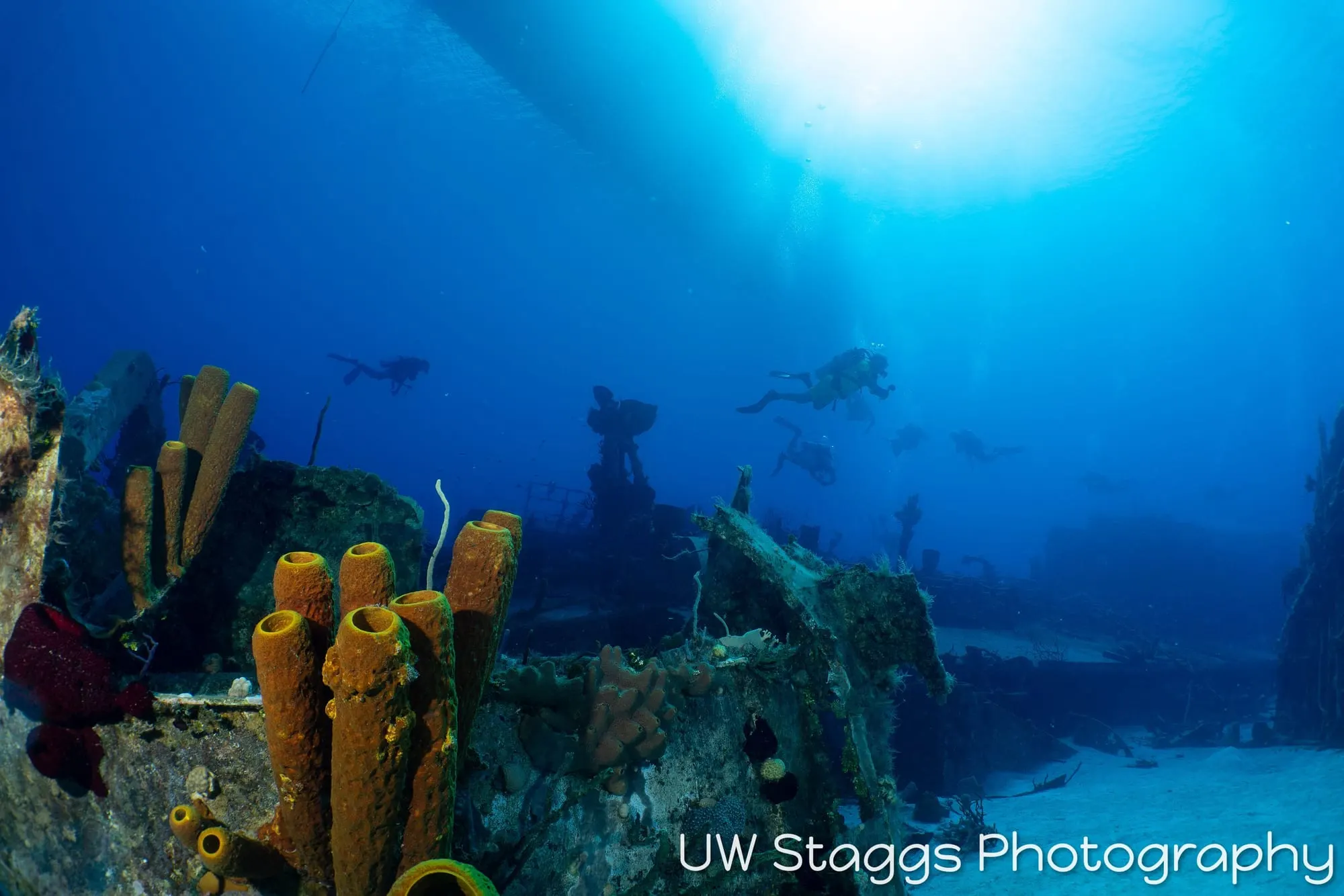 Reef Scene — Little Cayman