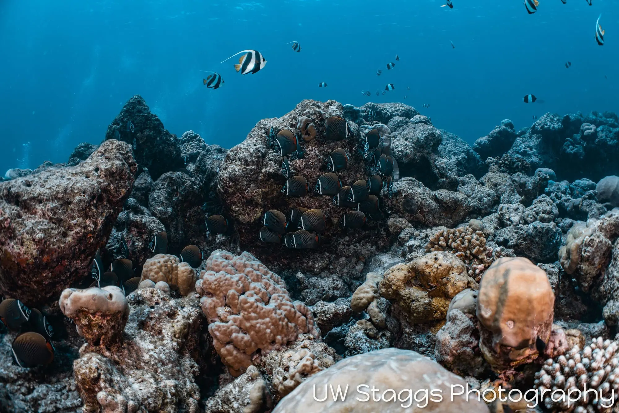 Coral Atoll — Central Atolls, Maldives