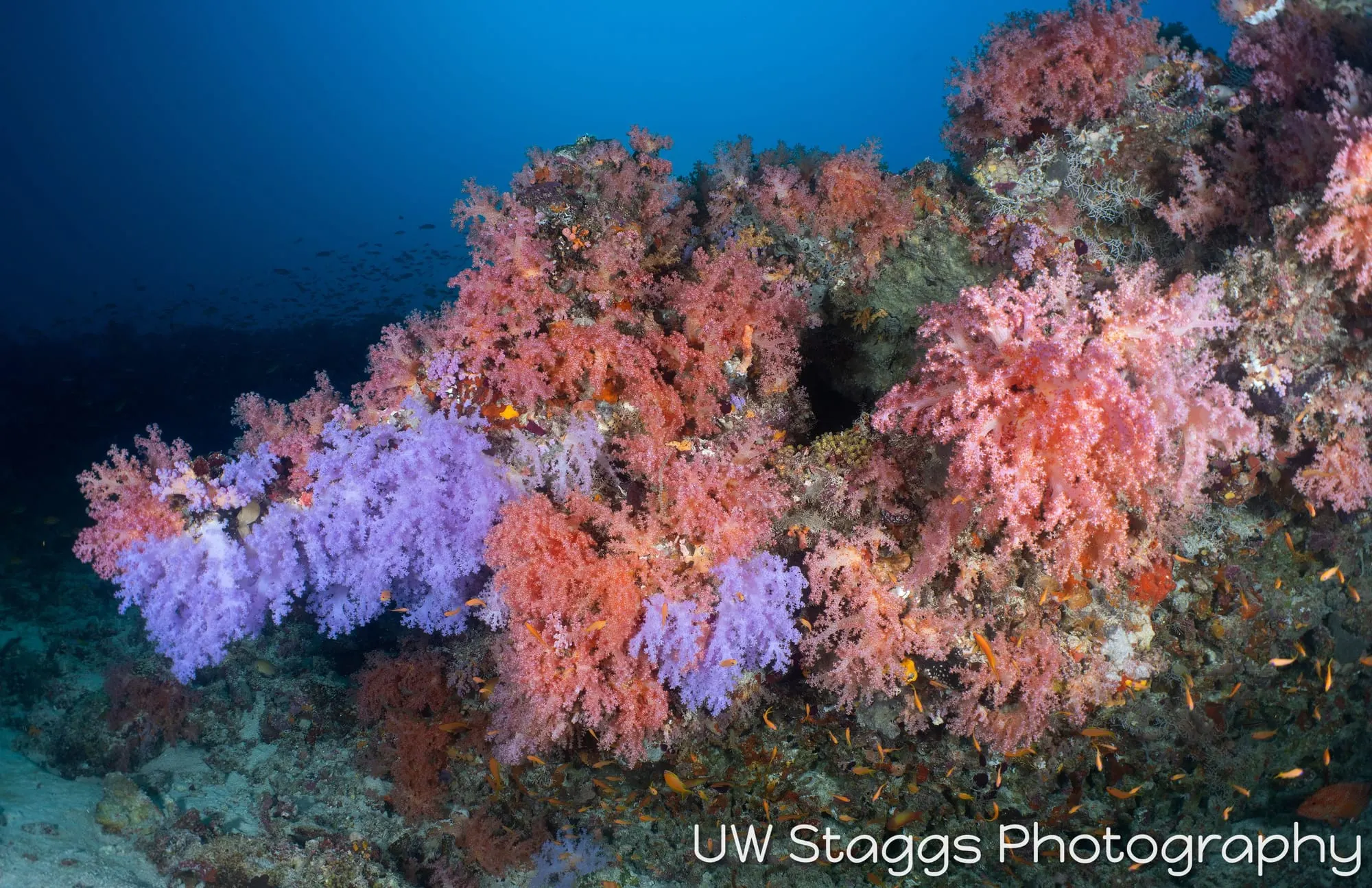 Coral Atoll — Central Atolls, Maldives