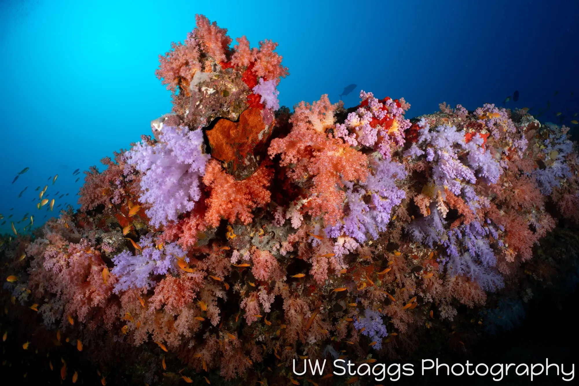 Coral Atoll — Central Atolls, Maldives